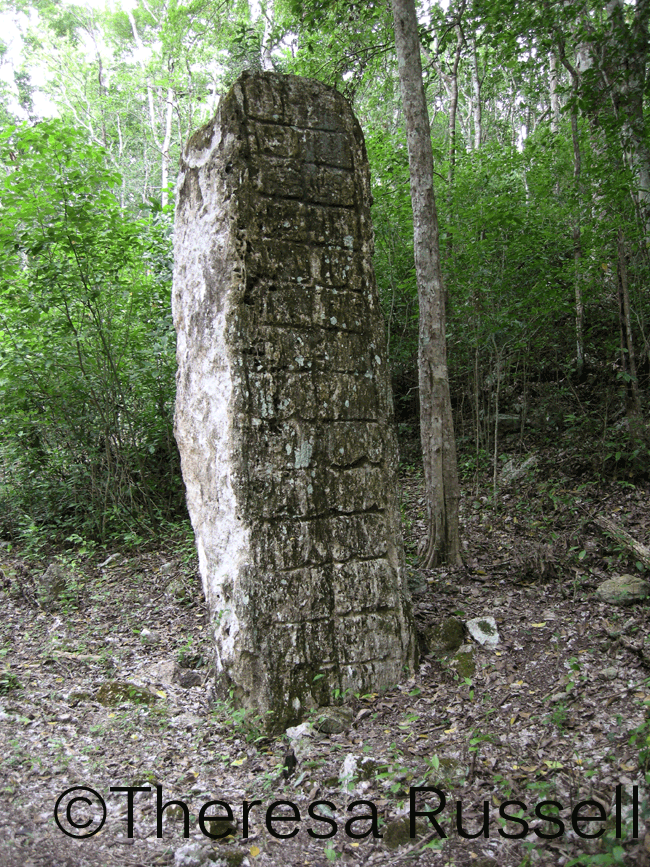 Stela tell the story of Calakmul.