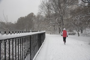 NY a snow storm and a jogger 8252-1