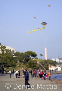 cyprus- kites