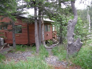 Fox Island Cabin