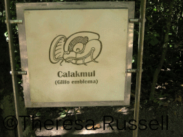 Maya 2012 Calakmul